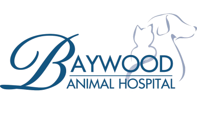 Baywood Animal Hospital-HeaderLogo